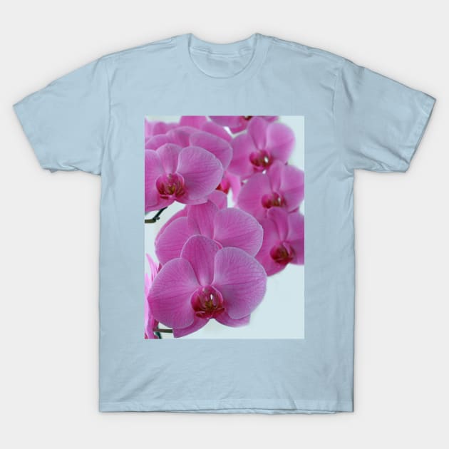 Pink Orchid Flower T-Shirt by pinkal